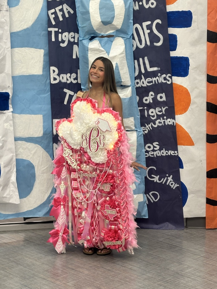 Woman in pink dress with a large, pink bow in front of a blue and white backdrop.