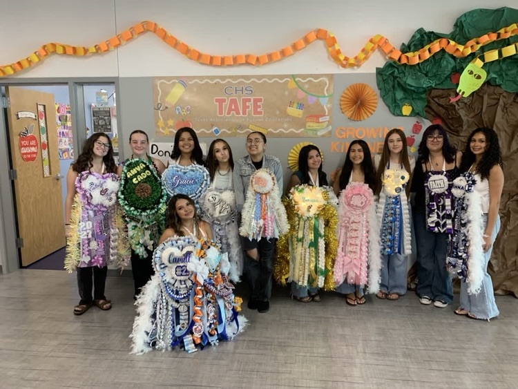 Group of students dressed in colorful costumes, posing for a picture in a classroom.