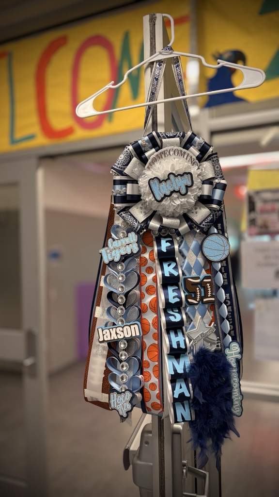 A colorful sash with various sports emblems hangs from a white hanger in a school hallway.