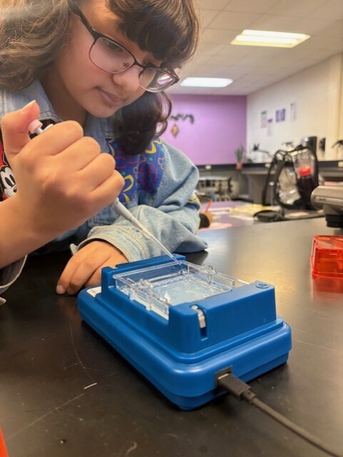 A student practices piping DNA.