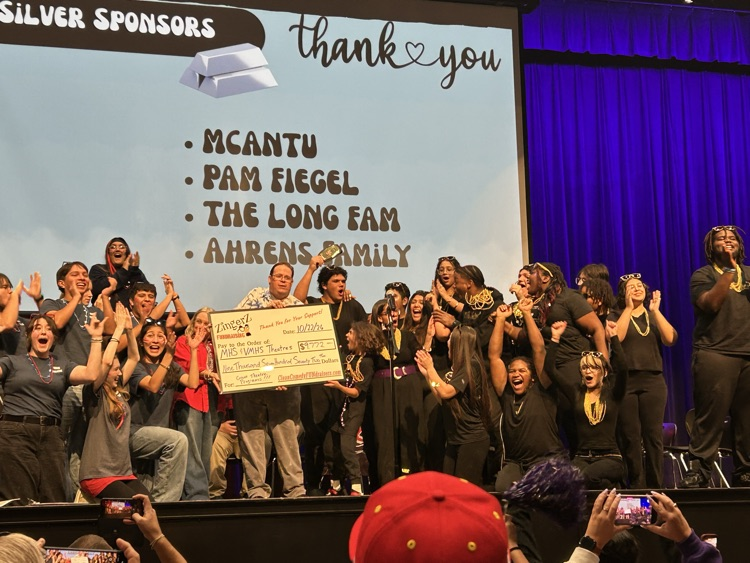 Miller Improv fundraiser Night picture from stage