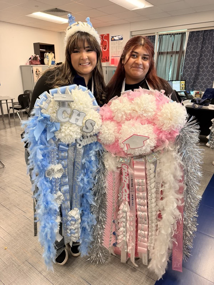 Two women stand next to each other holding pom-poms, one blue and white, the other pink and white.