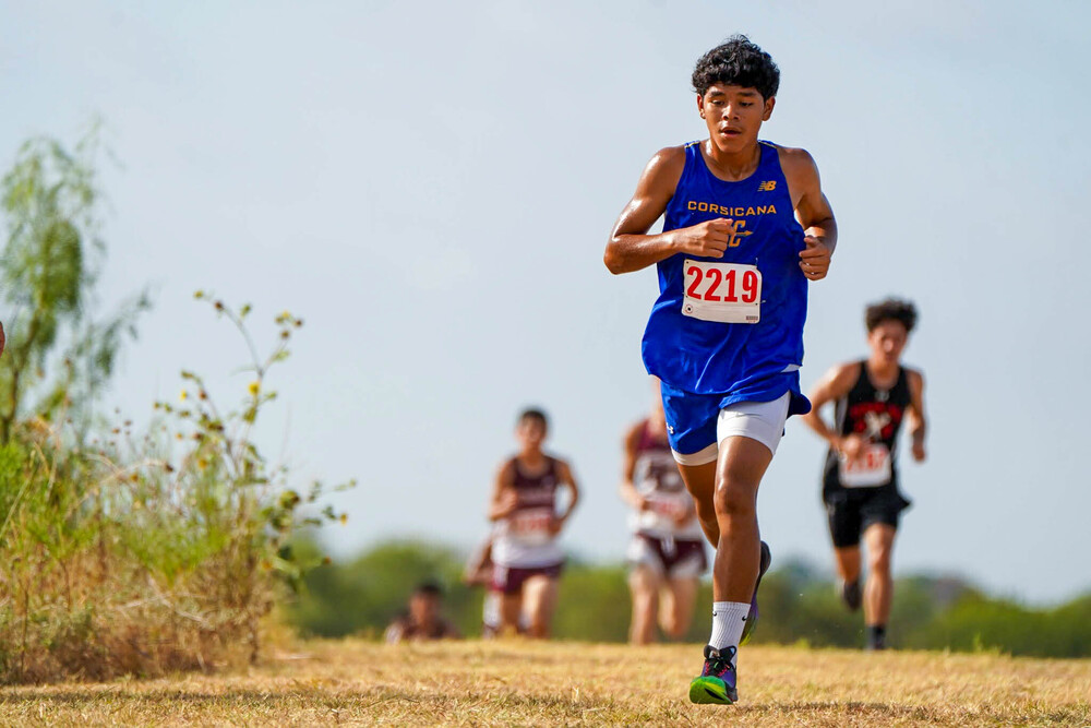 Tiger cross country chases district medals