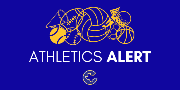graphic that includes several sports icons