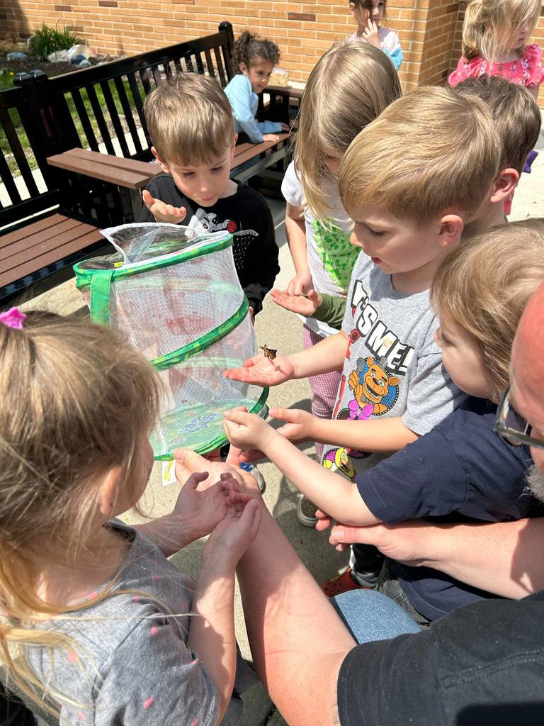 Butterflies at Children's Services