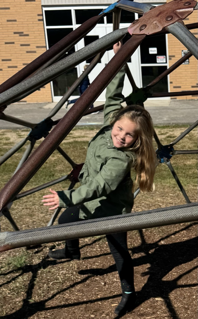 spider web fun!