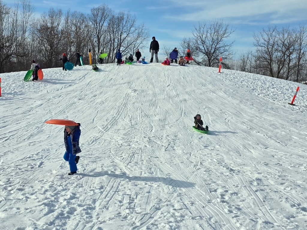 Elsa Meyer Parapro Posting