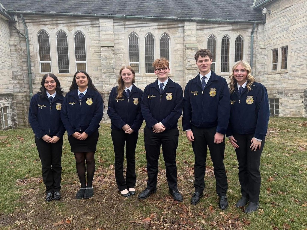 Human Resource Manager