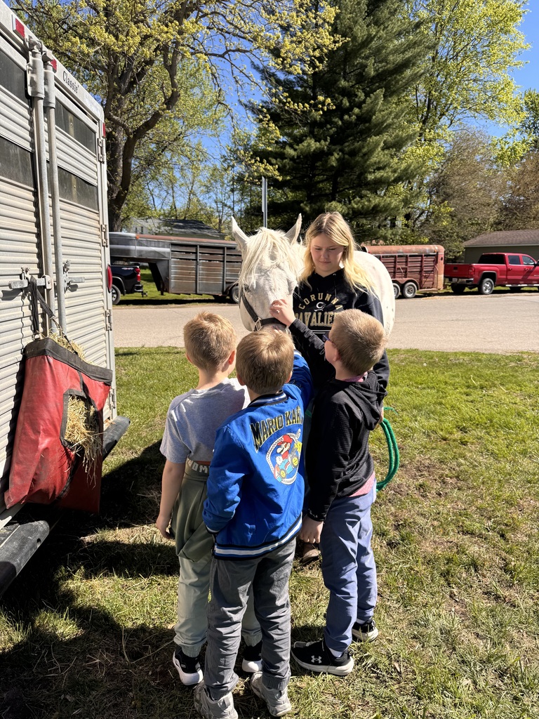 Horses are our friends