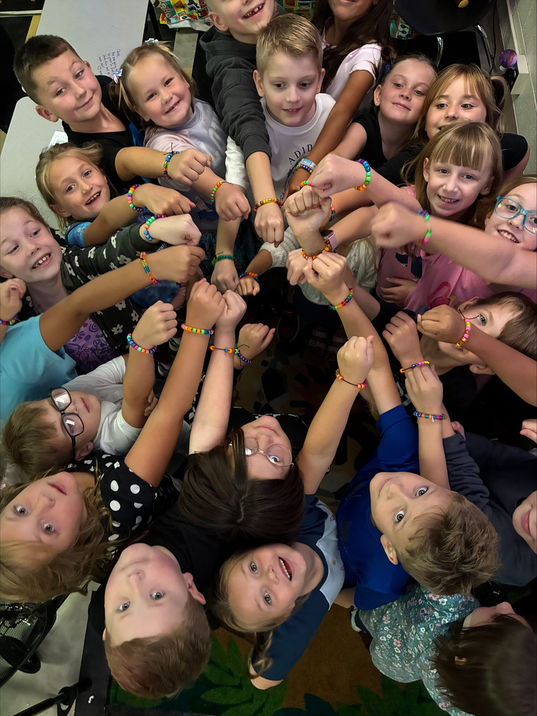 team work makes the dream work in Mrs. Fry's class
