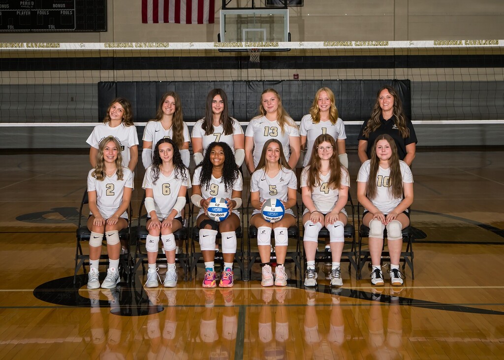 Volleyball