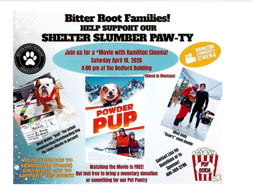 Shelter Slumber Paw-ty!