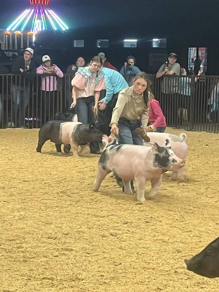 Polk County Fair
