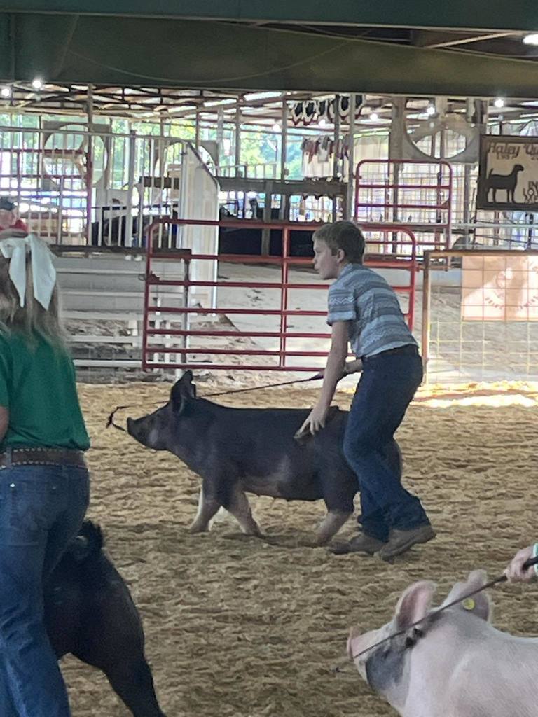 Howard County Fair