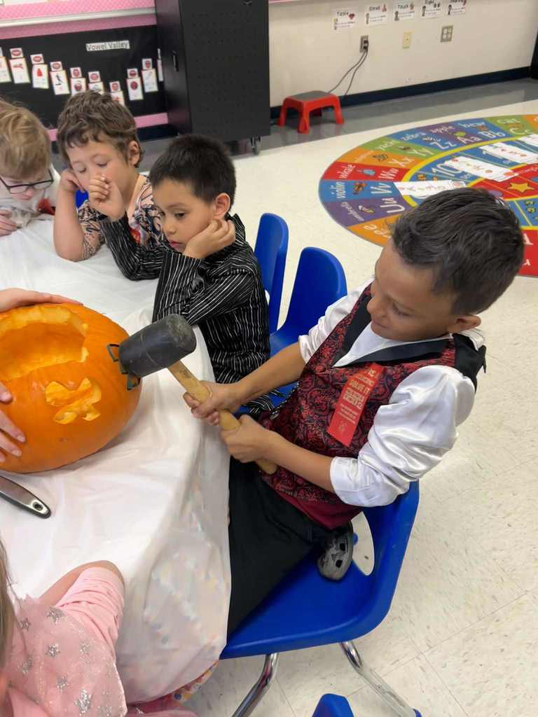 Kindergarten Scientists