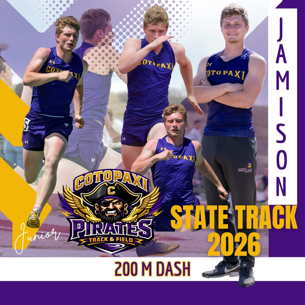 Jamison state track qualifier