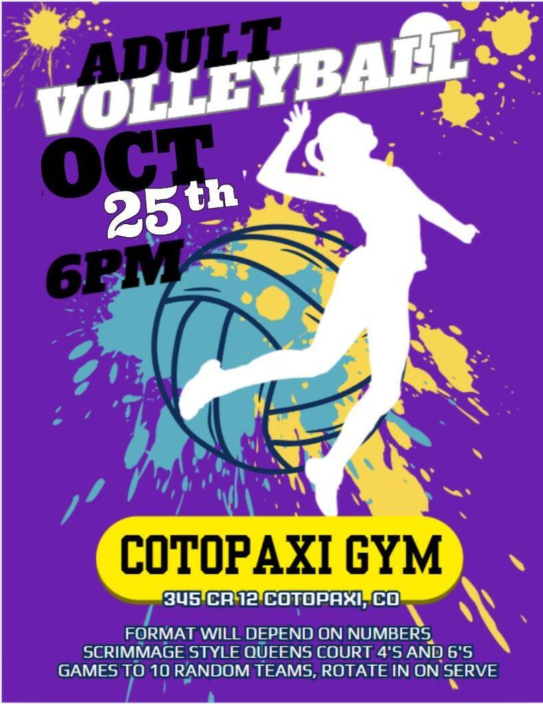 A flyer about adult volleyball
