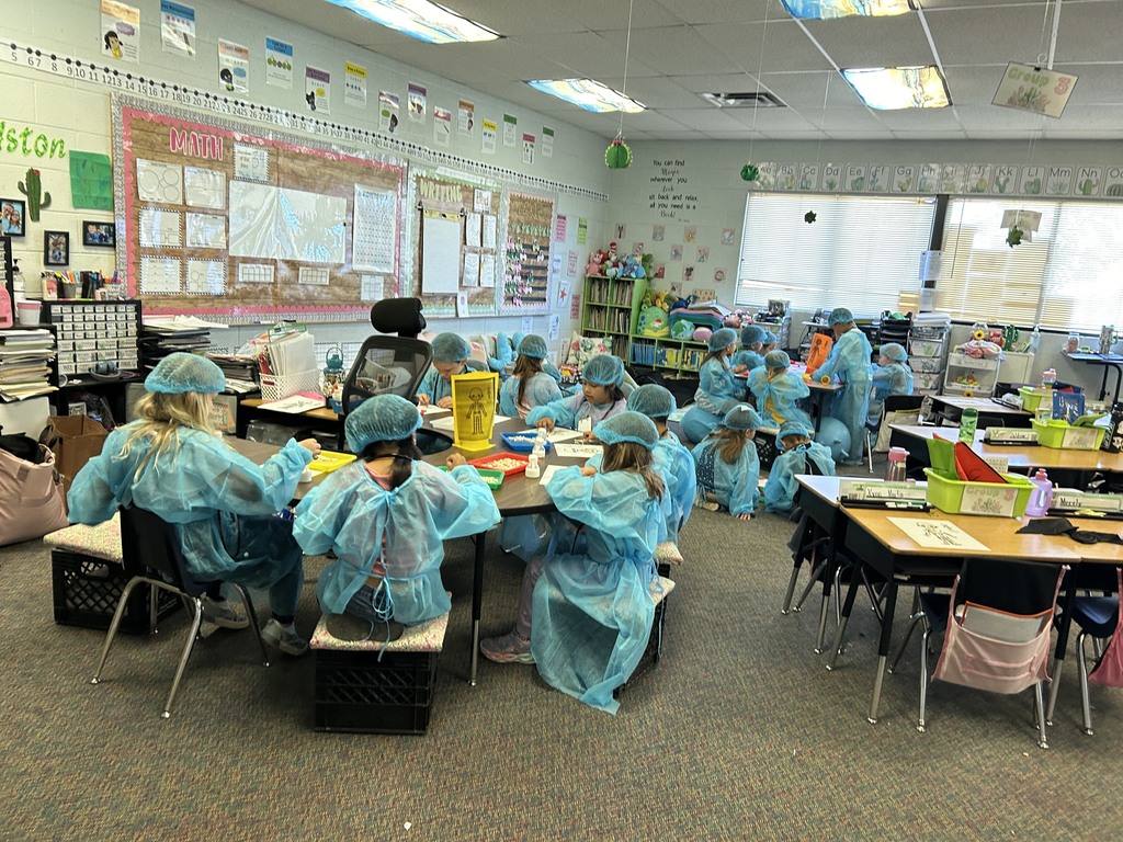1st Grade Human Body