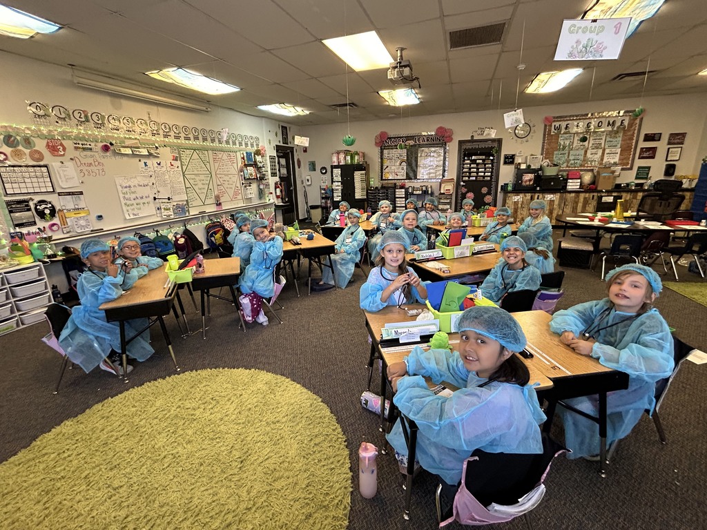 1st Grade Human Body
