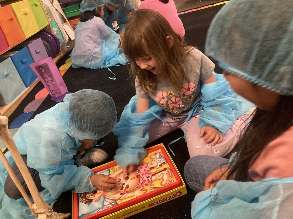1st Grade Human Body