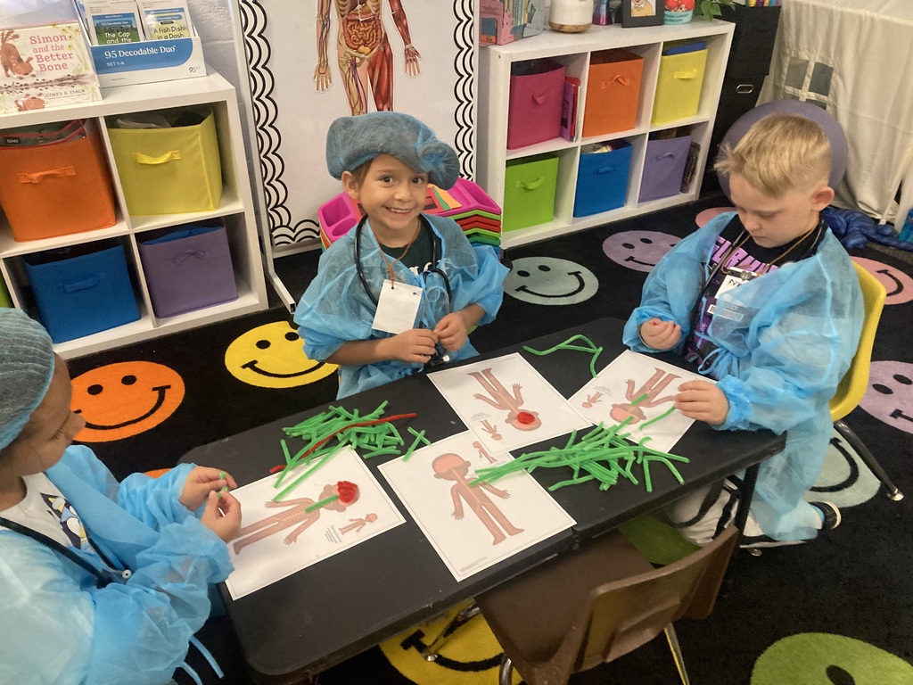 1st Grade Human Body