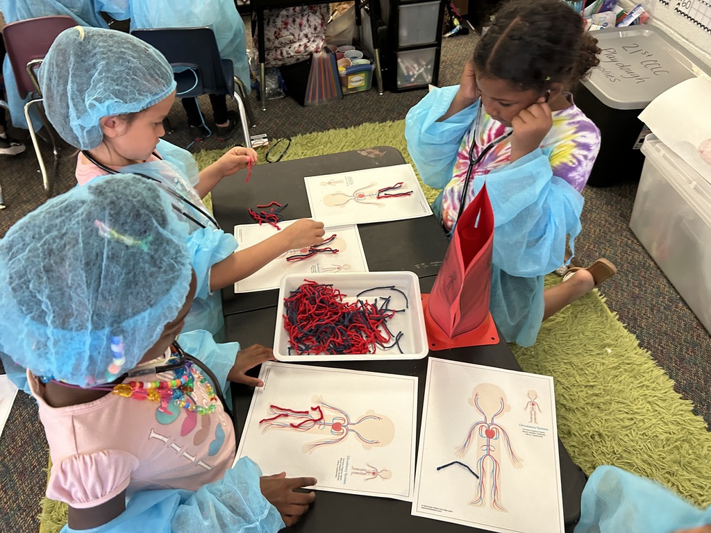 1st Grade Human Body