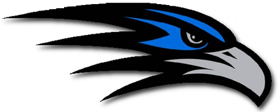 Falcon Head