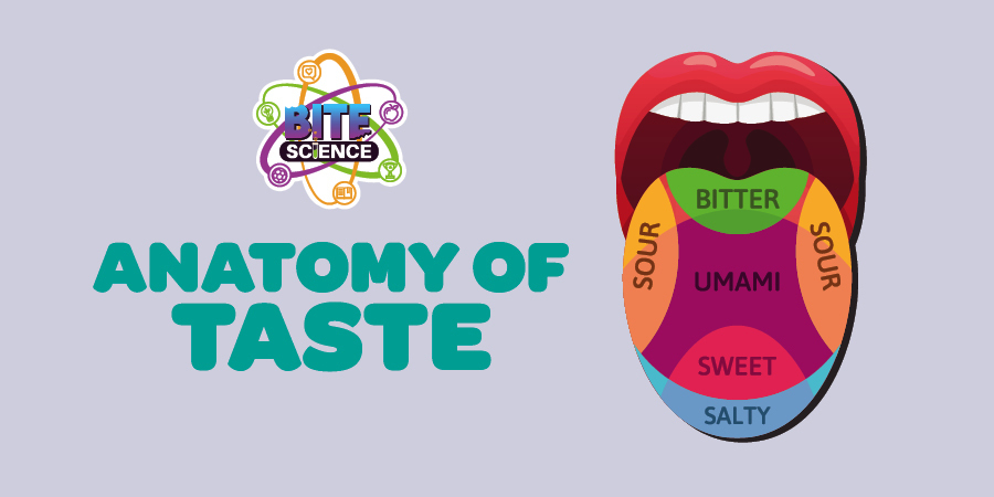 AnatomyofTasteFB
