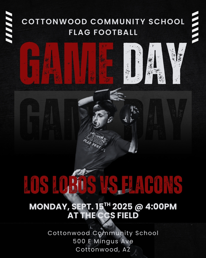 Los Lobos vs. Falcons