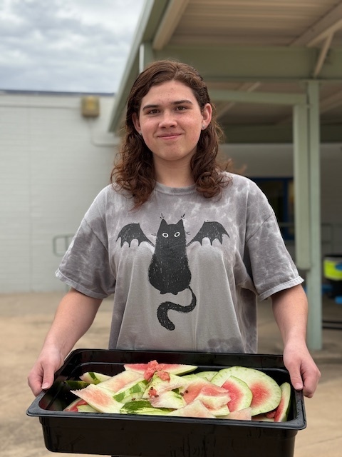 Watermelon rinds