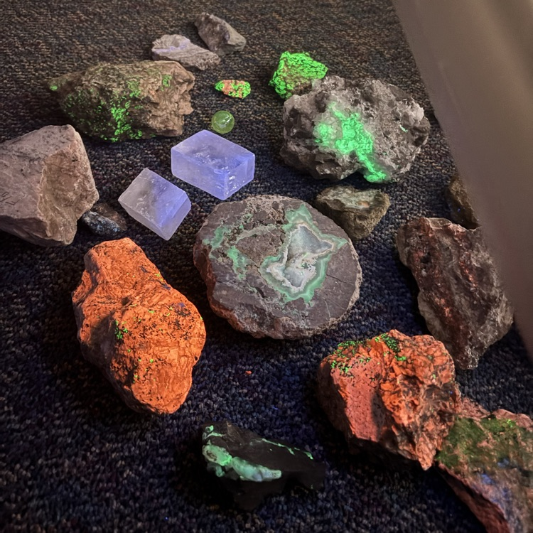 color under black light