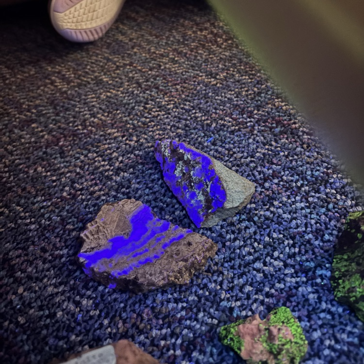 Rick color under black lights