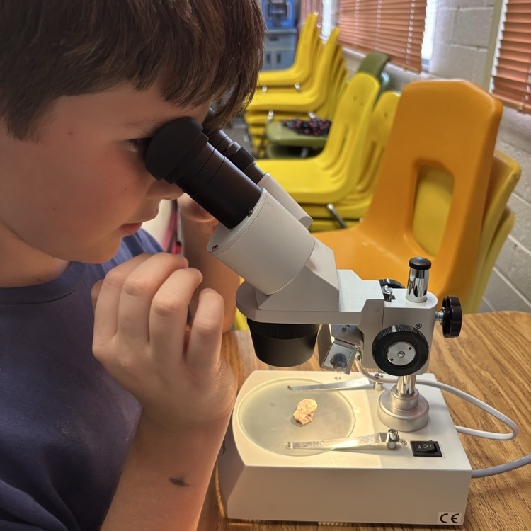 looking through microscope