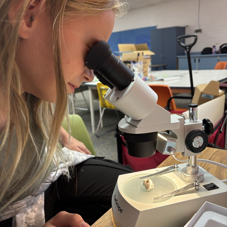girl looking through microscope