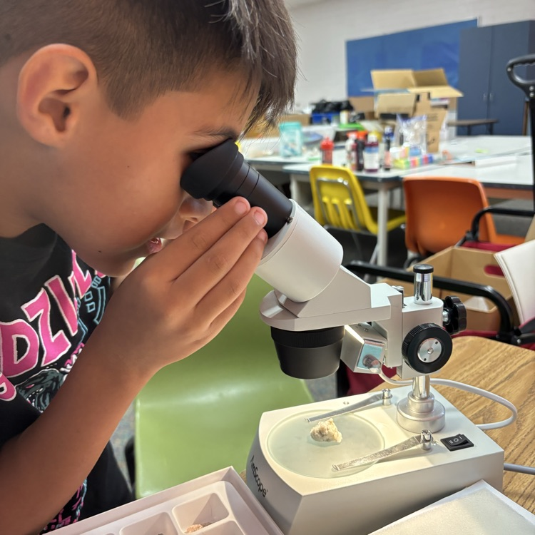 boy looking through microscope