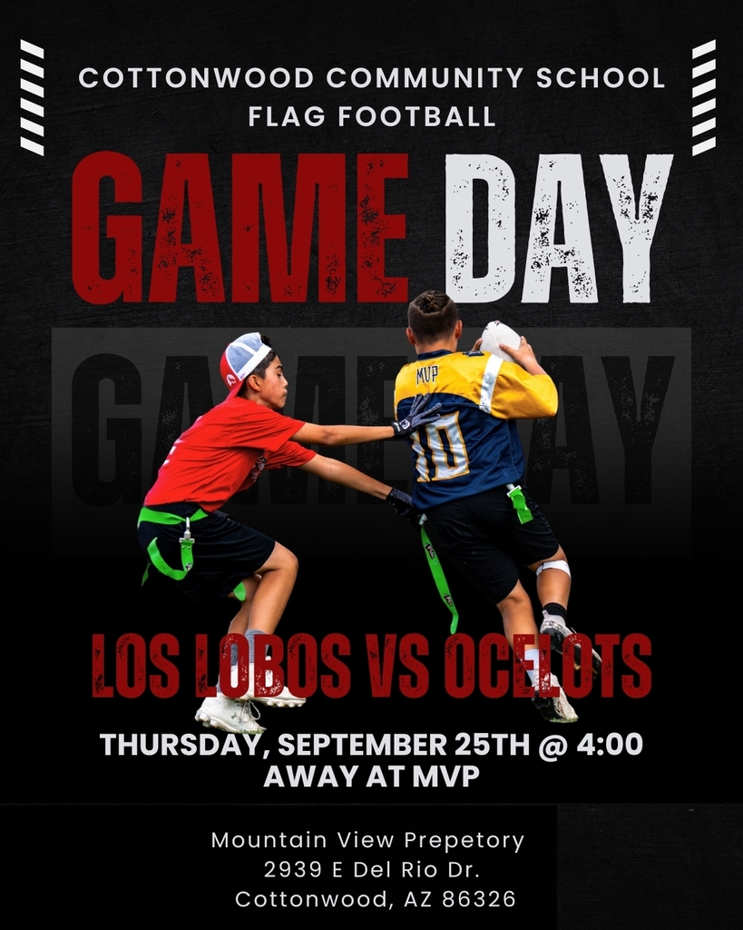 Lobos Vs. Ocelots