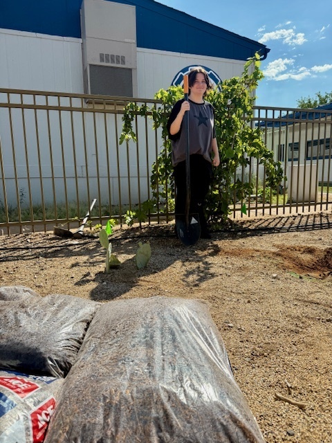 Digging