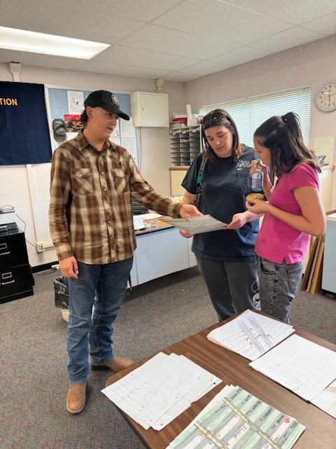 Student-led conferences