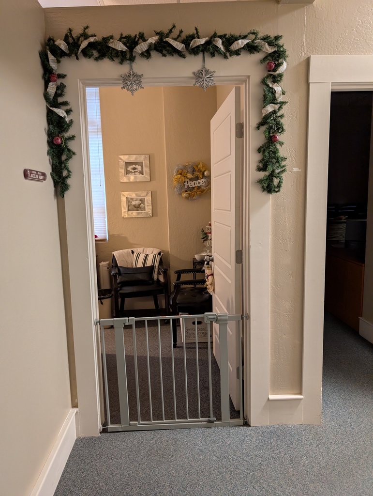 PXL_20251215_144958201