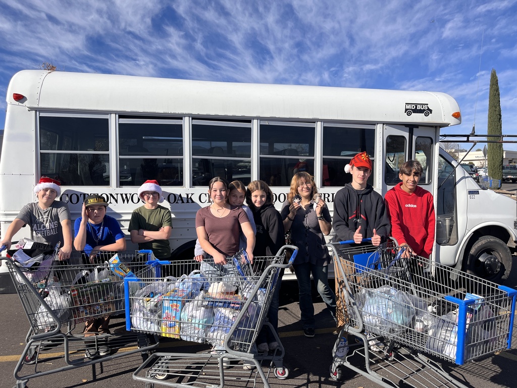 DDB Student Council shopping for local families for the holidays