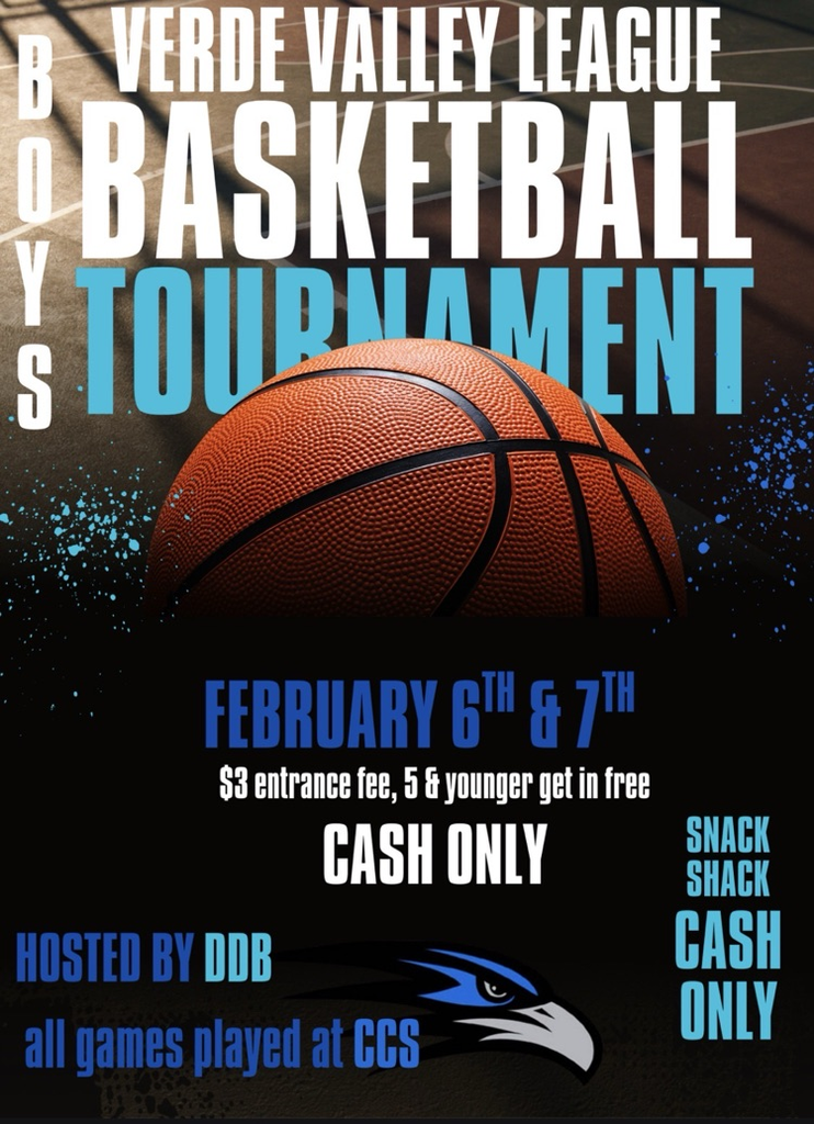 boys basketball league tournament 