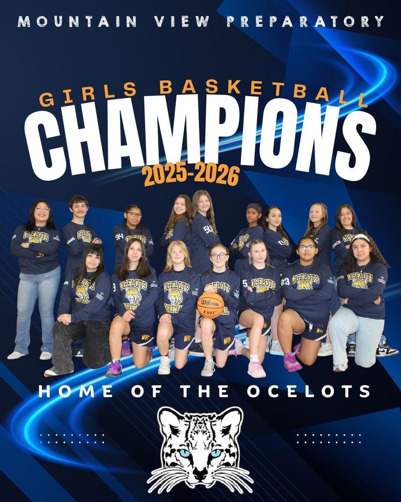 Blue and White Dynamic Football Champion Instagram Post (1)