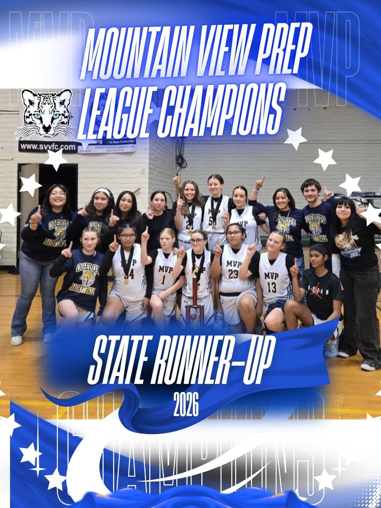 Blue & White Elegant Tournament Champions Poster