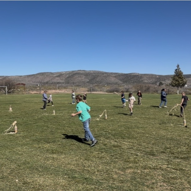 mentos challenge in Career STEM