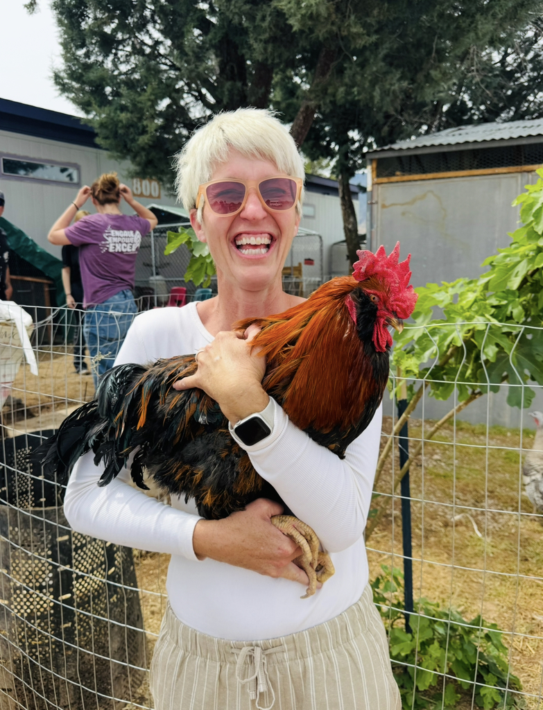 Teddy and Teddy the Rooster