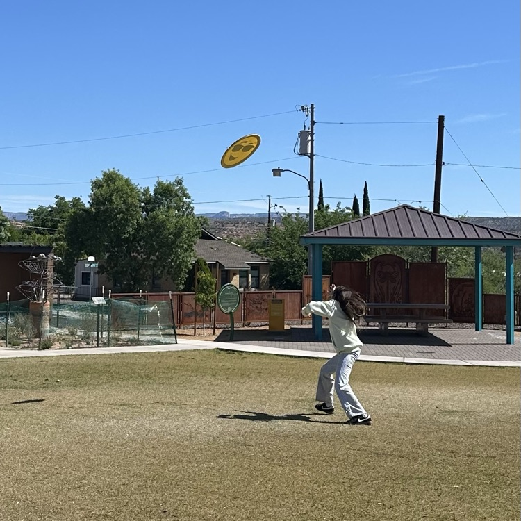 STEAM Park