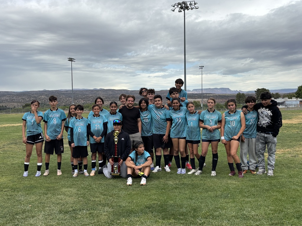 DDB Soccer Team