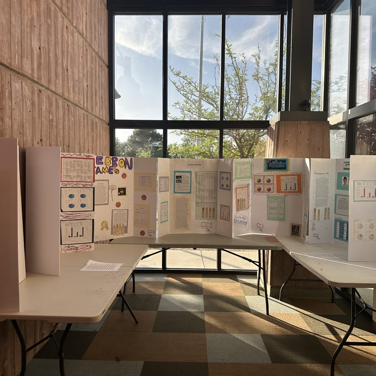 performance plan project 