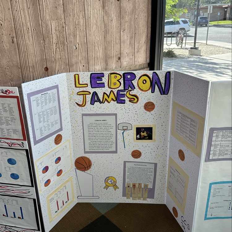 performance plan project 
