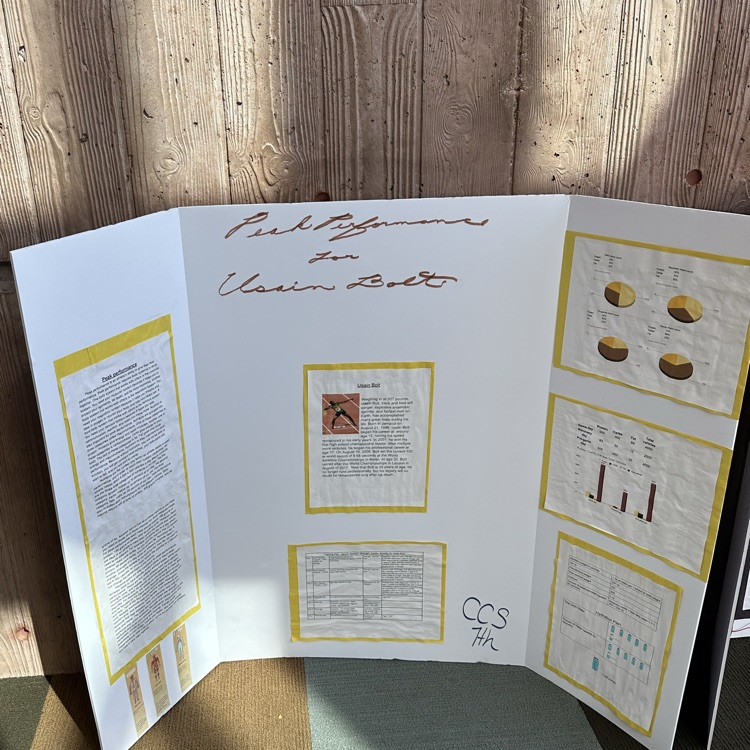 performance plan project 